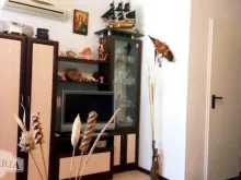 Miniaturka