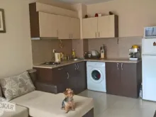 Miniaturka