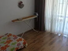 Miniaturka