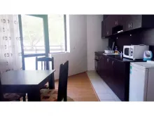 Miniaturka