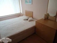 Miniaturka