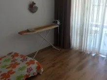 Miniaturka