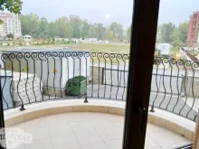 Miniaturka