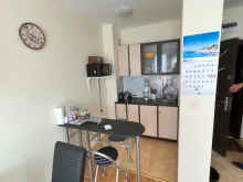 Miniaturka