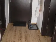 Miniaturka