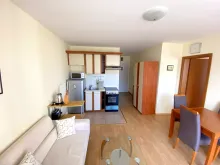 Miniaturka