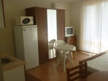 Miniaturka