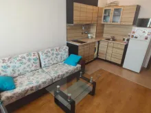 Miniaturka