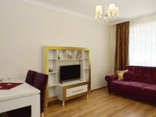 Miniaturka