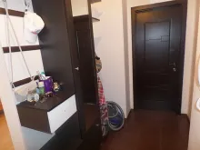 Miniaturka