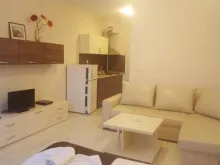 Miniaturka
