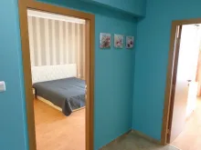 Miniaturka