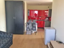 Miniaturka