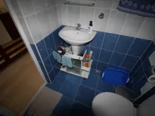 Miniaturka