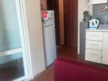 Miniaturka
