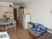 Miniaturka