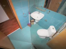 Miniaturka