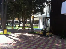 Miniaturka