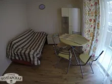 Miniaturka