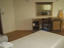 Miniaturka