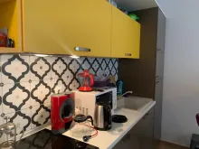 Miniaturka