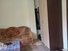 Miniaturka