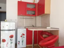 Miniaturka