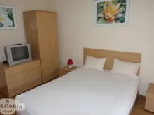 Miniaturka