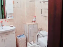 Miniaturka