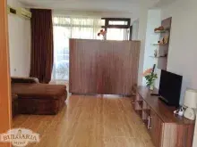 Miniaturka