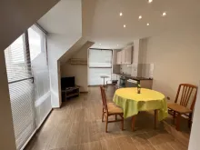 Miniaturka