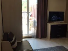 Miniaturka