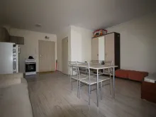 Miniaturka