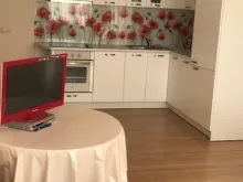Miniaturka