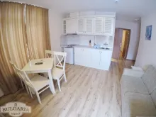 Miniaturka