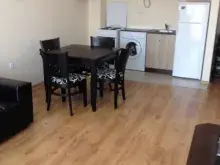 Miniaturka
