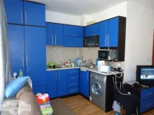 Miniaturka