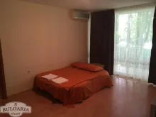 Miniaturka