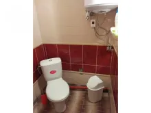 Miniaturka