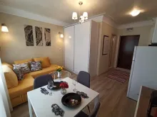 Miniaturka