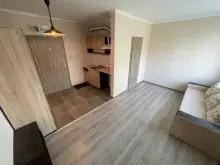 Miniaturka