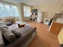 Miniaturka