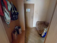 Miniaturka