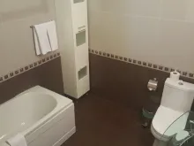 Miniaturka