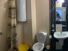 Miniaturka