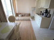Miniaturka