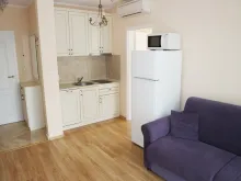 Miniaturka