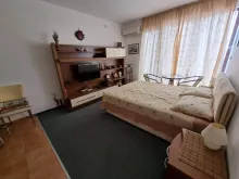 Miniaturka