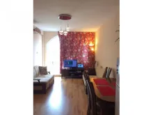 Miniaturka