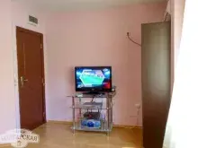 Miniaturka